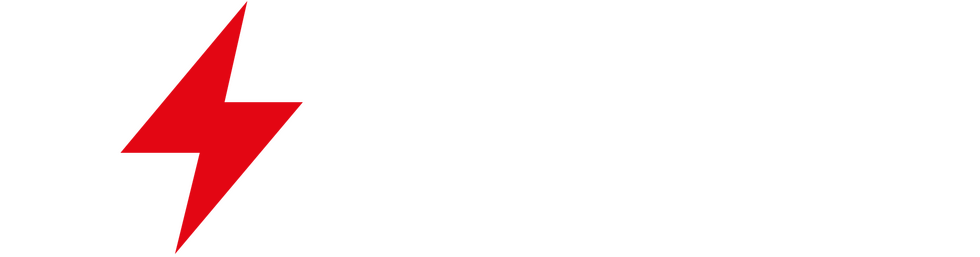 stable electric logo